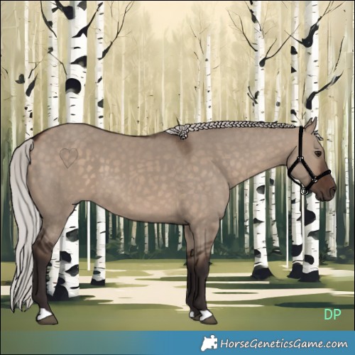 Horse Color:Silver Brown Dun 