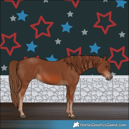 Horse Color:Chestnut 