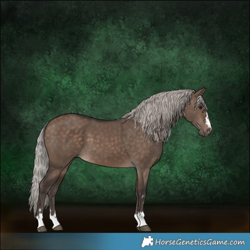 Horse Color:Silver Brown Dun 