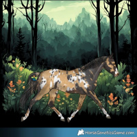 Horse Color:Chocolate Palomino Dun  and Brown Blanket 