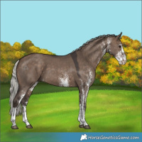 Horse Color:White Spotted Silver Brown Dun Tobiano 