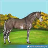 Horse Color:White Spotted Silver Brown Dun Tobiano 