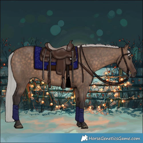 Horse Color:Silver Brown Dun 
