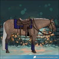 Horse Color:Silver Brown Dun