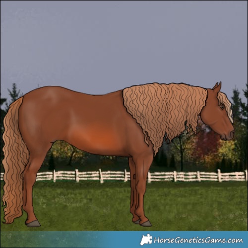 Horse Color:Chestnut 