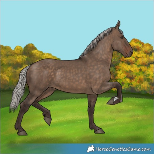 Horse Color:Silver Brown Dun 
