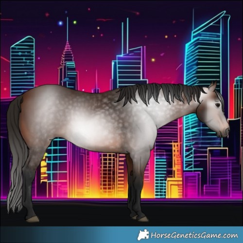 Horse Color:Gray Bay 