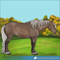 Horse Color:Silver Brown Dun