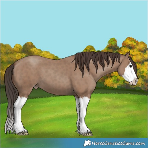 Horse Color:Classic Champagne Splash 