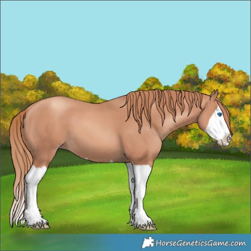Horse Color:Gold Champagne Splash 