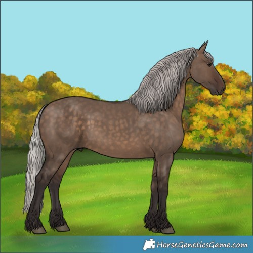 Horse Color:Silver Brown Dun