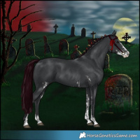 Horse Color:Black Sabino