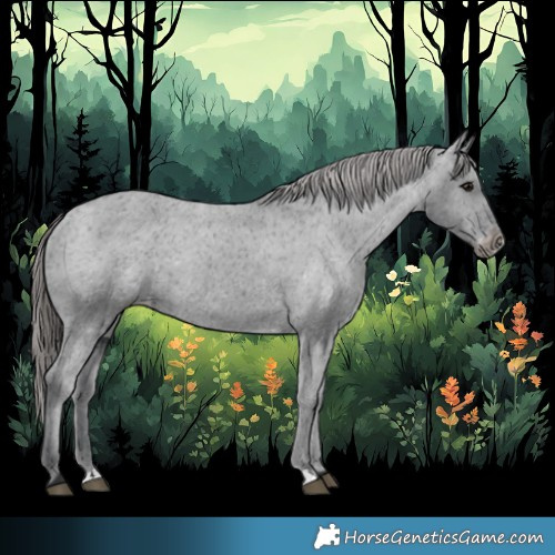 Horse Color:Black Appaloosa Rabicano 
