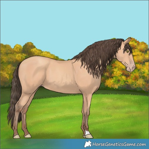 Horse Color:Amber Champagne
