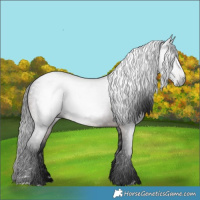 Horse Color:Gray Bay
