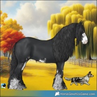 Horse Color:Black Sabino