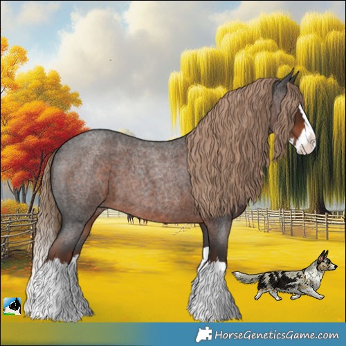 Horse Color:Liver Red Roan Splash