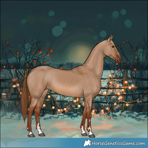 Horse Color:Red Dun 