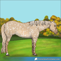 Horse Color:Chocolate Palomino Dun Snowflake Varnish 