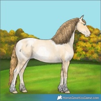 Horse Color:Buckskin Roan Pearl  and Buckskin Roan Pearl 