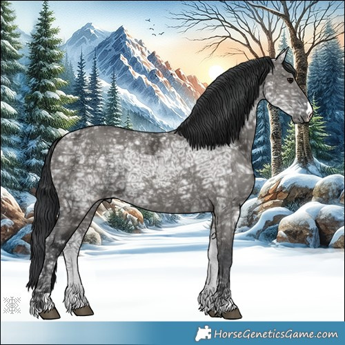 Horse Color:Grullo Ice 