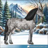 Horse Color:Grullo Ice 