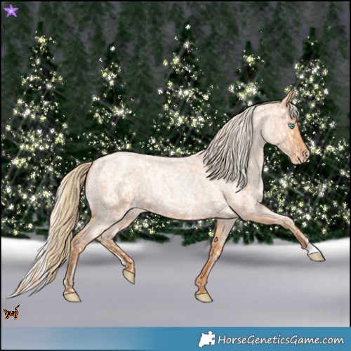 Horse Color:Buckskin Roan Pearl and Silver Bay Roan Pearl