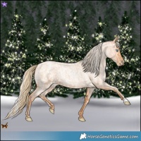 Horse Color:Buckskin Roan Pearl  and Silver Bay Roan Pearl 