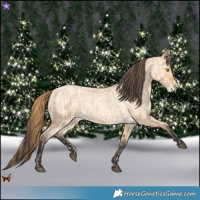 Horse Color:Bay Roan Pearl and Buckskin Roan