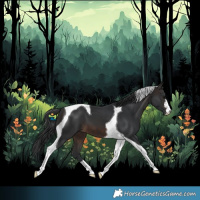 Horse Color:Brown Tobiano