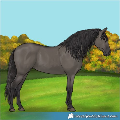 Horse Color:Smoky Grullo