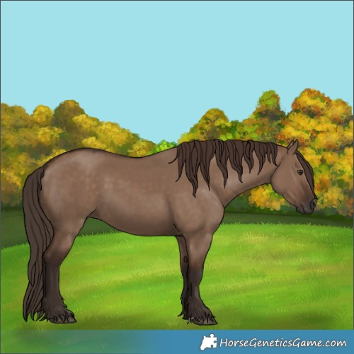 Horse Color:Liver Red Dun 