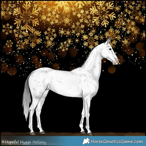 Horse Color:Brown Sabino Splash Appaloosa