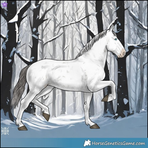Horse Color:Brown Dun Sabino Splash Snowflake Varnish