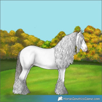 Horse Color:Liver Chestnut Sabino Splash Snowcap 