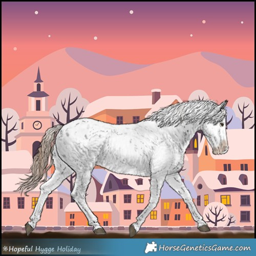 Horse Color:Liver Chestnut Sabino Splash Appaloosa 