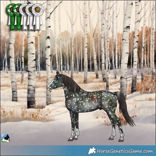 Horse Color:Liver Chestnut Splash Snowflake Varnish