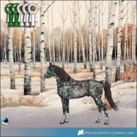 Horse Color:Liver Chestnut Splash Snowflake Varnish