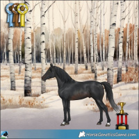 Horse Color:Brown Mushroom Rabicano
