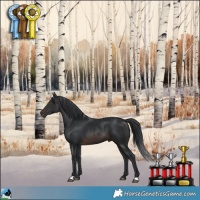 Horse Color:Brown Mushroom Rabicano 