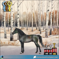 Horse Color:Brown Mushroom Rabicano