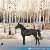 Horse Color:Brown Mushroom Rabicano 