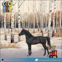 Horse Color:Brown Mushroom Rabicano 