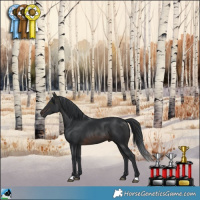 Horse Color:Brown Mushroom Rabicano