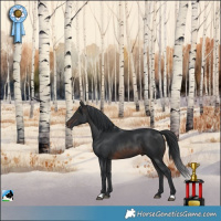 Horse Color:Brown Mushroom Rabicano 