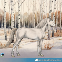 Horse Color:Smoky Creme 