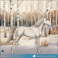 Horse Color:Smoky Creme 