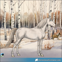 Horse Color:Smoky Creme 