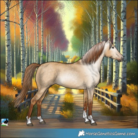 Horse Color:Gray Red Dun 