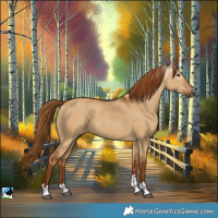 Horse Color:Gray Red Dun 